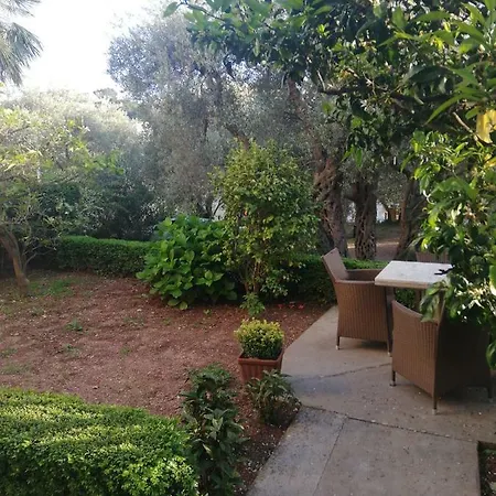 Elena פודגוריצה